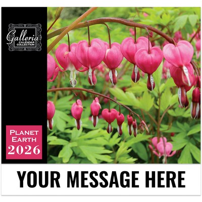 Galleria Wall Calendar 2026 Planet Earth Calendar
