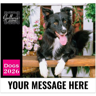 Galleria Wall Calendar 2026 Dogs Calendar