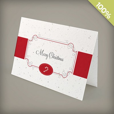 A6 - 100% Plantable Personalized Holiday Cards - Candy Cane Christmas Cards