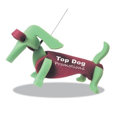 Weiner Dog on a Leash