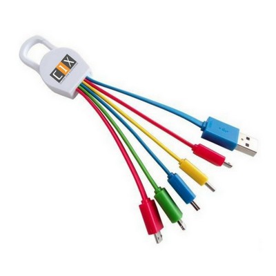 Carabiner w/Type C Charger Adapter
