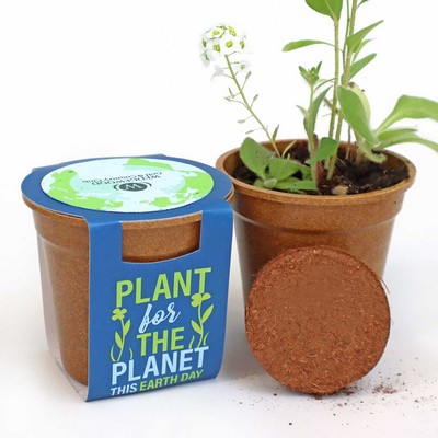Plant for the Planet Seed Paper Sprouter Kit