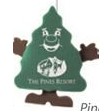 Pine Tree on a Leash