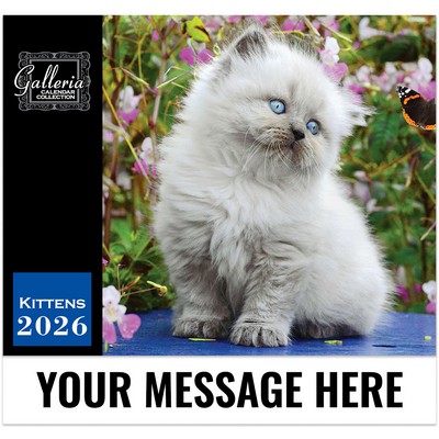 Galleria Wall Calendar 2026 Kittens Calendar