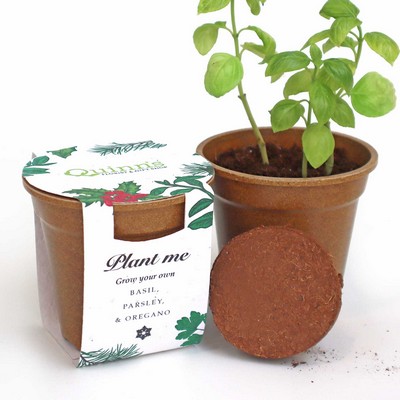 Season's Greenings Herb Seed Paper Sprouter Kit
