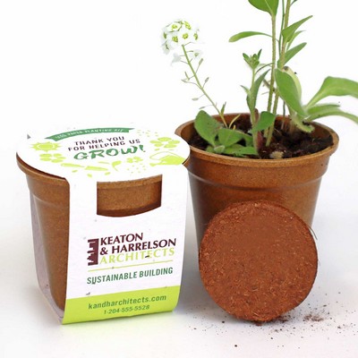 Wildflower Seed Paper Sprouter Kit